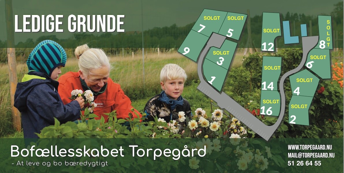 TG LedigeGrundeCompressed